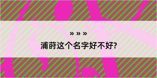 浦莳这个名字好不好?