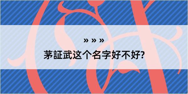 茅証武这个名字好不好?