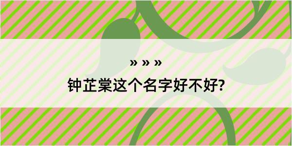 钟芷棠这个名字好不好?