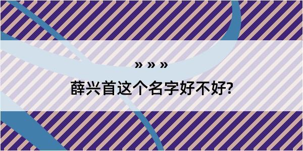 薛兴首这个名字好不好?