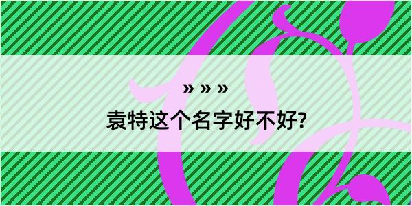 袁特这个名字好不好?