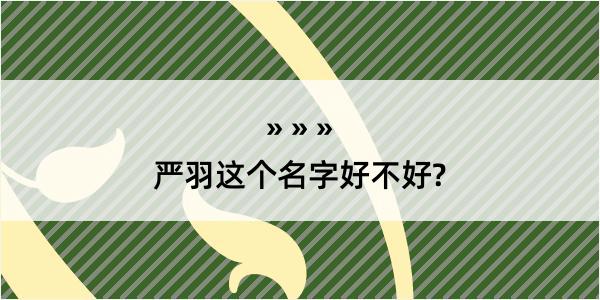 严羽这个名字好不好?