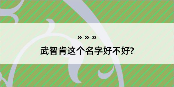 武智肯这个名字好不好?