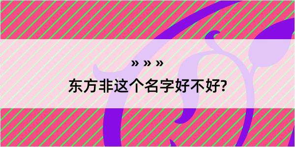 东方非这个名字好不好?