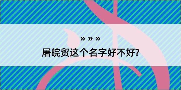 屠皖贸这个名字好不好?