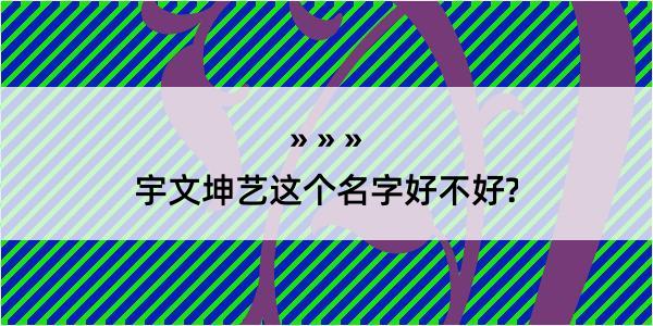 宇文坤艺这个名字好不好?