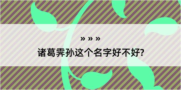 诸葛霁孙这个名字好不好?