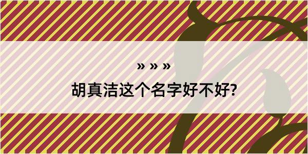 胡真洁这个名字好不好?