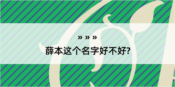 薛本这个名字好不好?