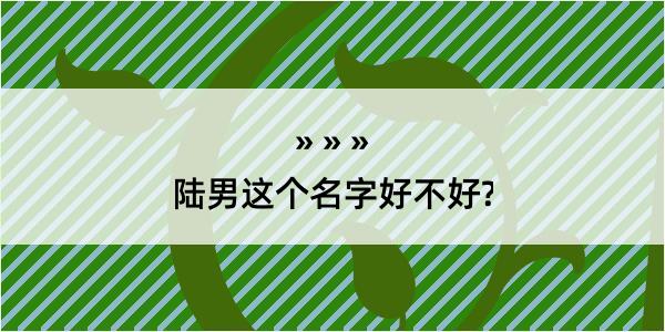 陆男这个名字好不好?