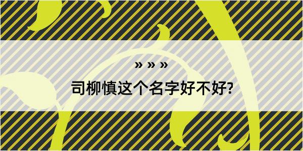 司柳慎这个名字好不好?