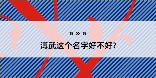 溥武这个名字好不好?