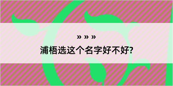 浦梧选这个名字好不好?