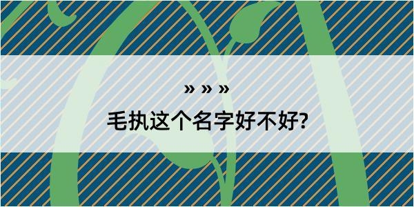 毛执这个名字好不好?