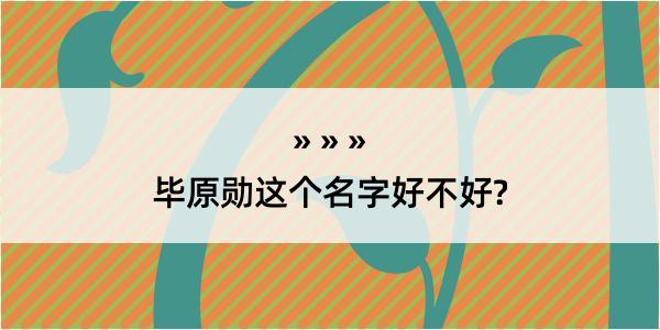 毕原勋这个名字好不好?