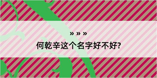 何乾辛这个名字好不好?