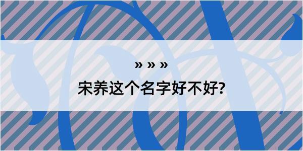 宋养这个名字好不好?