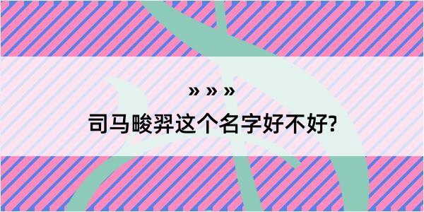 司马畯羿这个名字好不好?