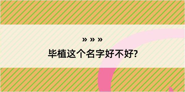 毕植这个名字好不好?