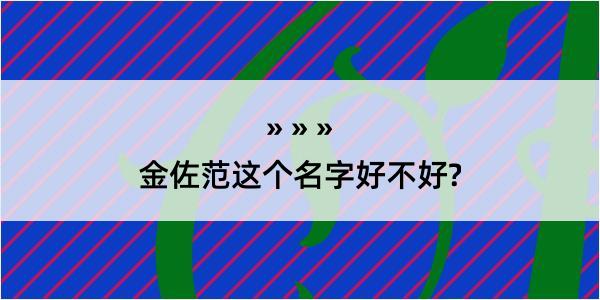 金佐范这个名字好不好?