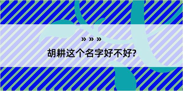 胡耕这个名字好不好?