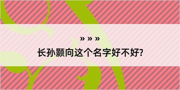 长孙颢向这个名字好不好?