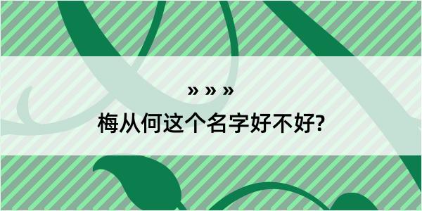 梅从何这个名字好不好?