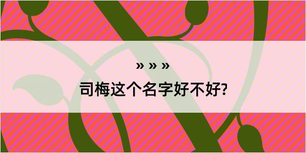 司梅这个名字好不好?