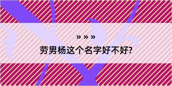 劳男杨这个名字好不好?