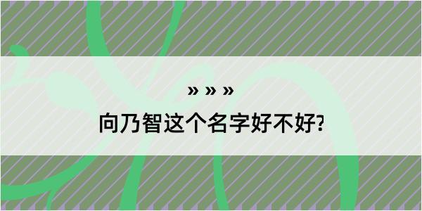 向乃智这个名字好不好?