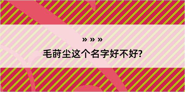 毛莳尘这个名字好不好?