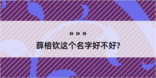 薛棓钦这个名字好不好?