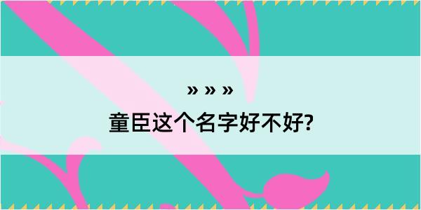 童臣这个名字好不好?