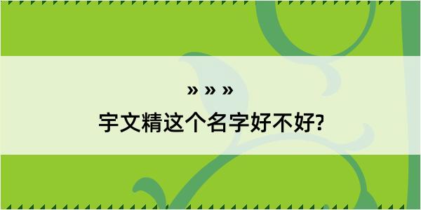 宇文精这个名字好不好?