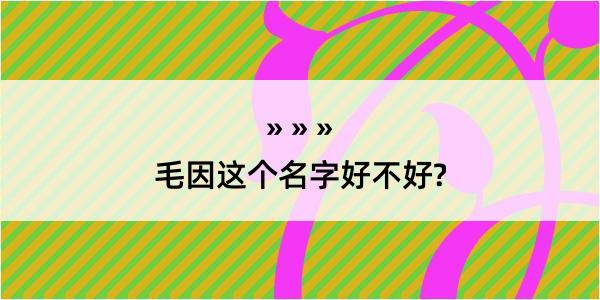 毛因这个名字好不好?