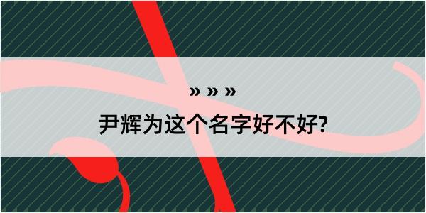 尹辉为这个名字好不好?