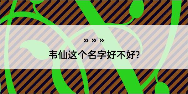 韦仙这个名字好不好?