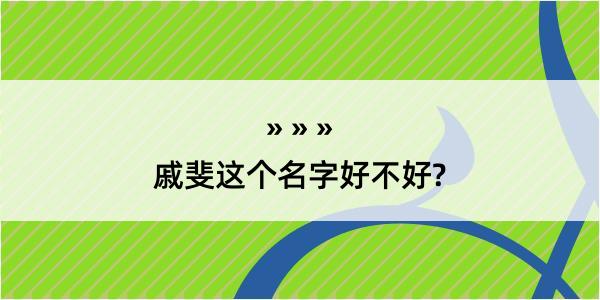 戚斐这个名字好不好?