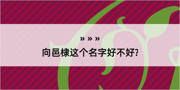 向邑棣这个名字好不好?