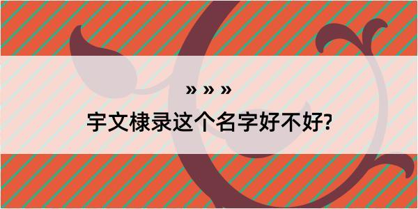 宇文棣录这个名字好不好?