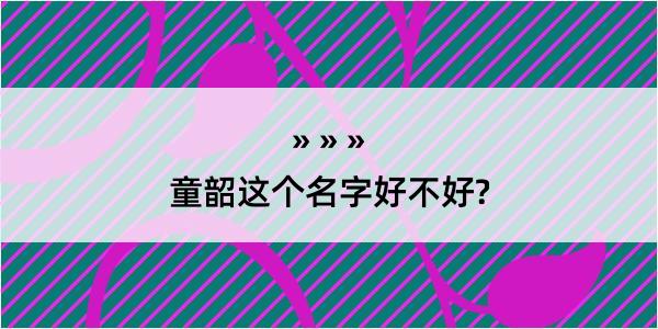 童韶这个名字好不好?