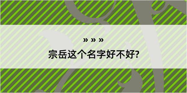 宗岳这个名字好不好?