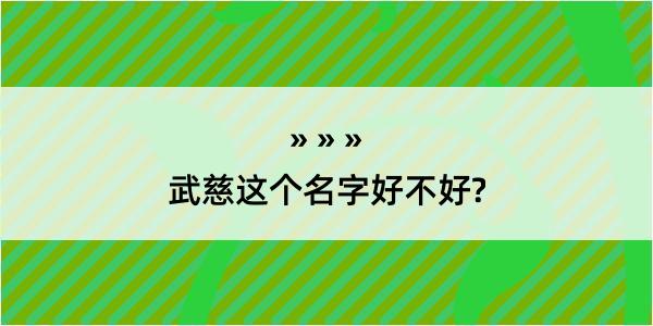 武慈这个名字好不好?