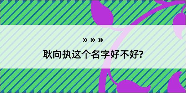 耿向执这个名字好不好?