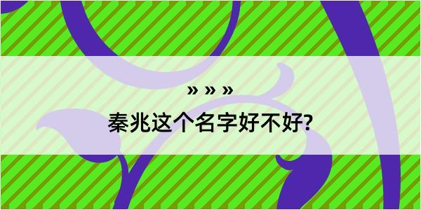 秦兆这个名字好不好?