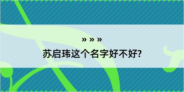 苏启玮这个名字好不好?