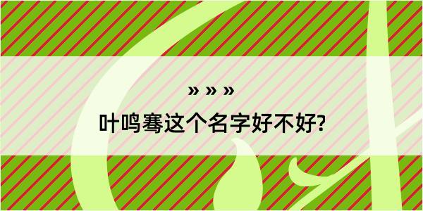 叶鸣骞这个名字好不好?