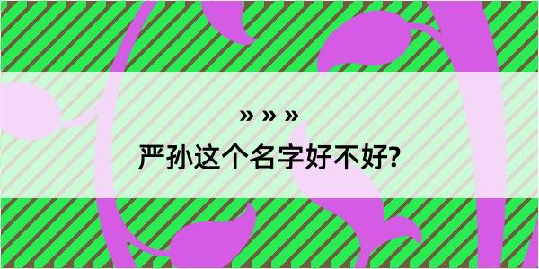 严孙这个名字好不好?