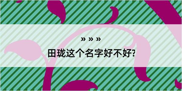 田珑这个名字好不好?