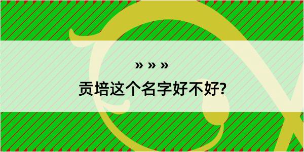 贡培这个名字好不好?